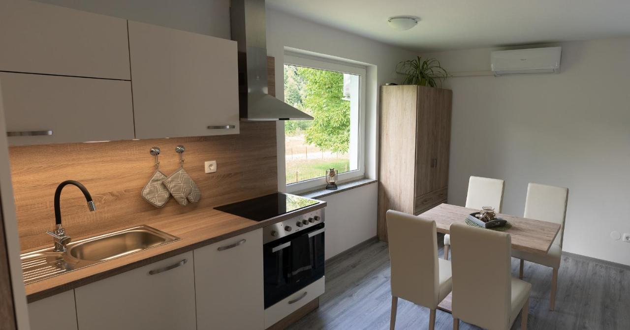 GreenRiver Apartment Spodnje Gorje Buitenkant foto