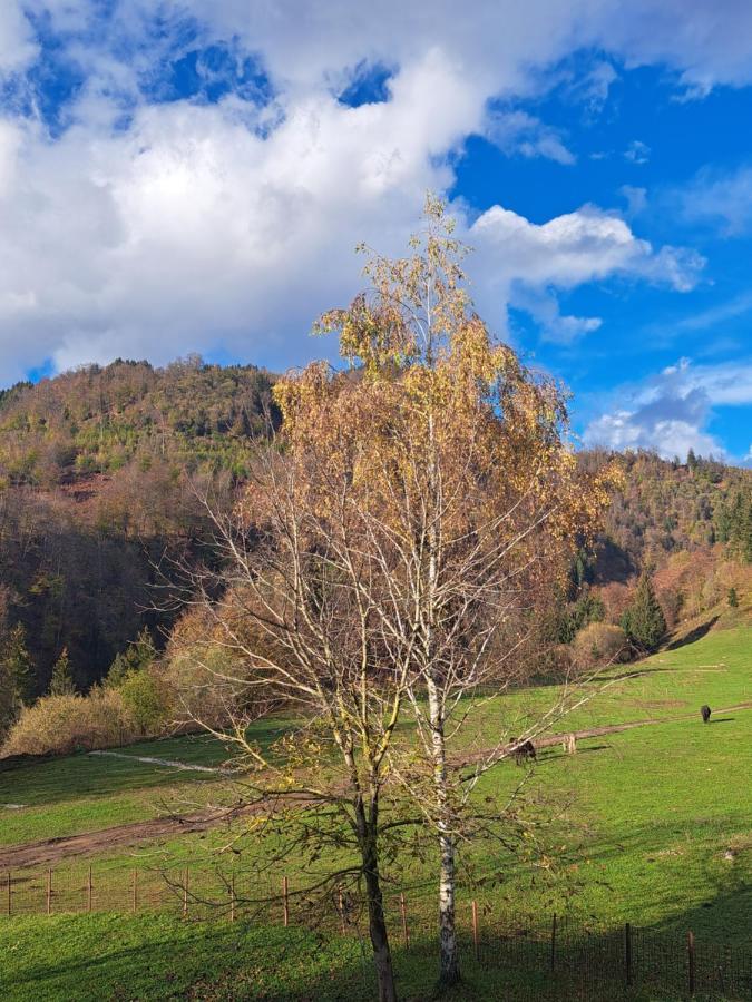 GreenRiver Apartment Spodnje Gorje Buitenkant foto
