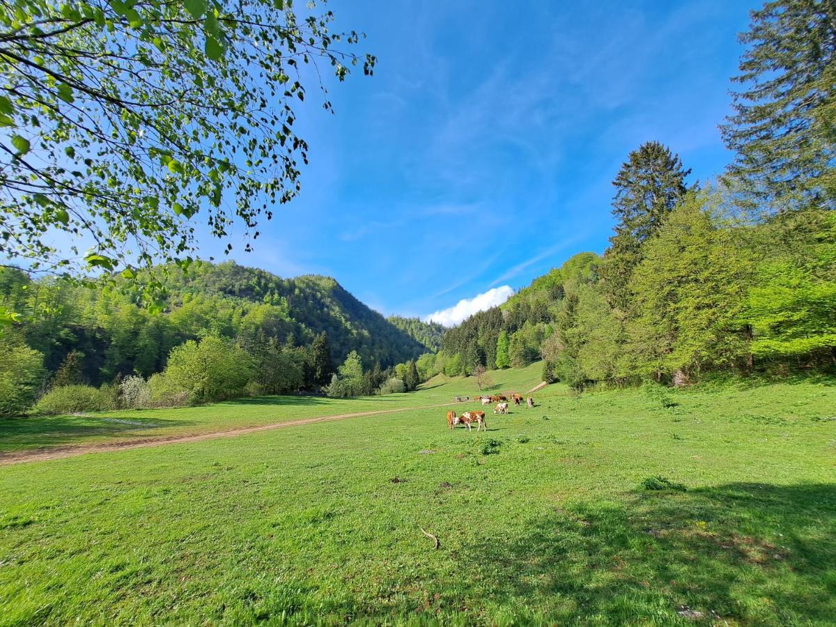 GreenRiver Apartment Spodnje Gorje Buitenkant foto